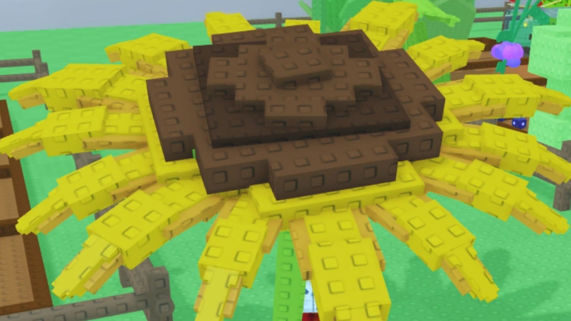 The Dawnbound Mutation only applies to Sunflowers (Image via Roblox)
